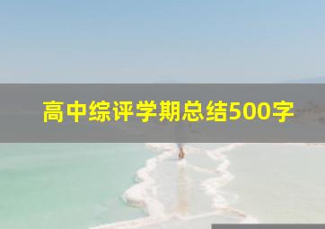 高中综评学期总结500字