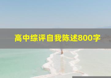 高中综评自我陈述800字