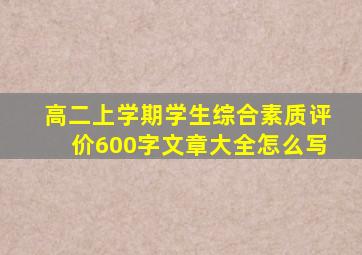 高二上学期学生综合素质评价600字文章大全怎么写