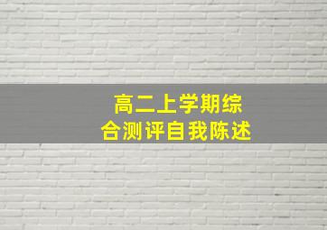 高二上学期综合测评自我陈述