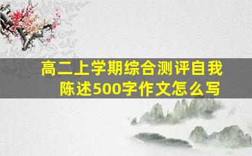 高二上学期综合测评自我陈述500字作文怎么写