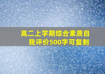 高二上学期综合素质自我评价500字可复制