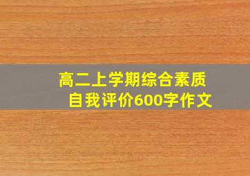 高二上学期综合素质自我评价600字作文