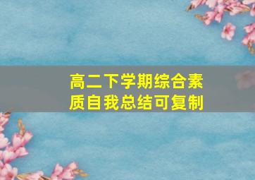 高二下学期综合素质自我总结可复制