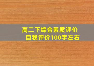 高二下综合素质评价自我评价100字左右