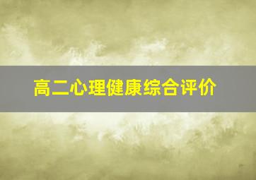 高二心理健康综合评价