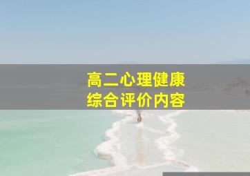 高二心理健康综合评价内容