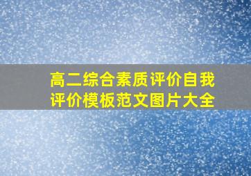 高二综合素质评价自我评价模板范文图片大全