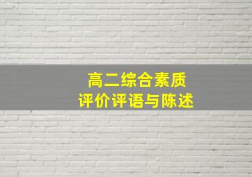 高二综合素质评价评语与陈述