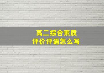 高二综合素质评价评语怎么写