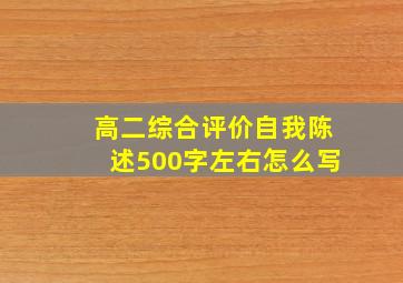 高二综合评价自我陈述500字左右怎么写