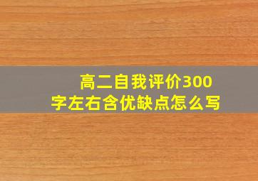 高二自我评价300字左右含优缺点怎么写