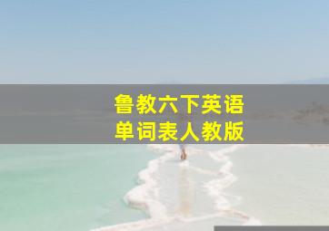 鲁教六下英语单词表人教版