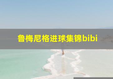 鲁梅尼格进球集锦bibi