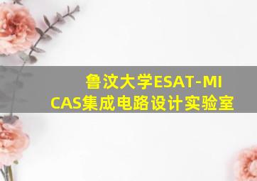 鲁汶大学ESAT-MICAS集成电路设计实验室