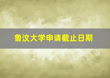 鲁汶大学申请截止日期