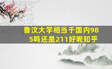 鲁汶大学相当于国内985吗还是211好呢知乎