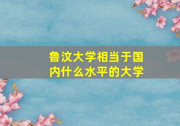 鲁汶大学相当于国内什么水平的大学