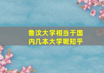 鲁汶大学相当于国内几本大学呢知乎