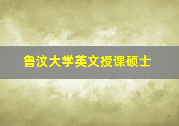 鲁汶大学英文授课硕士