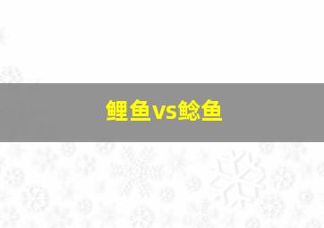 鲤鱼vs鲶鱼