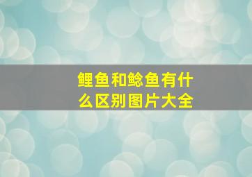 鲤鱼和鲶鱼有什么区别图片大全