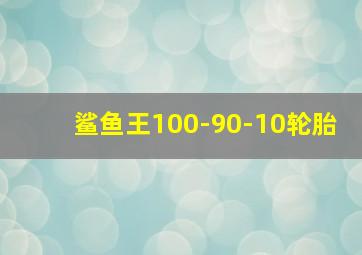 鲨鱼王100-90-10轮胎