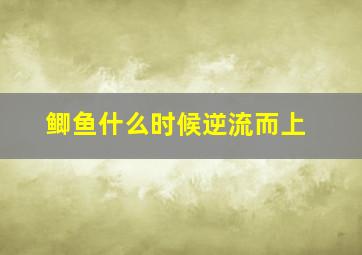 鲫鱼什么时候逆流而上