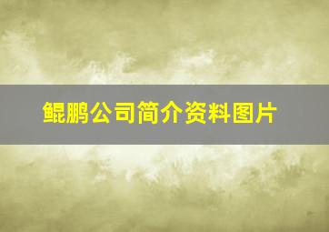 鲲鹏公司简介资料图片