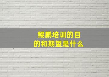 鲲鹏培训的目的和期望是什么