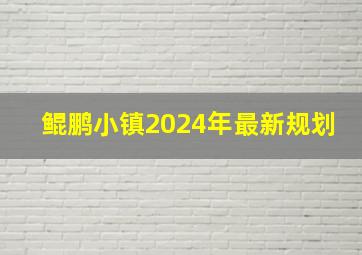 鲲鹏小镇2024年最新规划