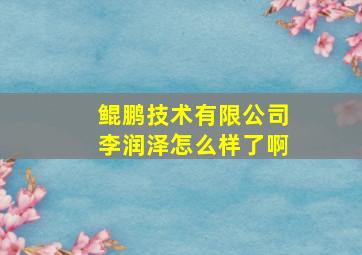 鲲鹏技术有限公司李润泽怎么样了啊