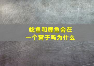 鲶鱼和鲤鱼会在一个窝子吗为什么