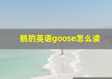 鹅的英语goose怎么读