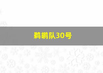 鹈鹕队30号