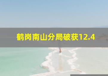 鹤岗南山分局破获12.4