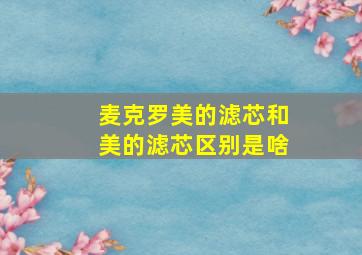 麦克罗美的滤芯和美的滤芯区别是啥