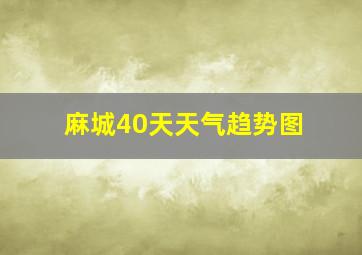 麻城40天天气趋势图