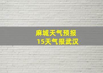 麻城天气预报15天气报武汉