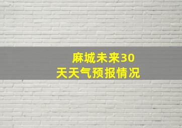 麻城未来30天天气预报情况