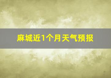 麻城近1个月天气预报