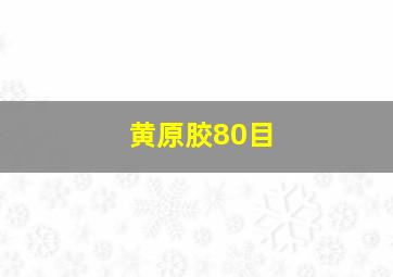 黄原胶80目