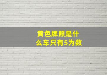 黄色牌照是什么车只有5为数