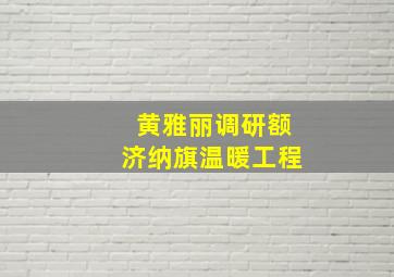 黄雅丽调研额济纳旗温暖工程