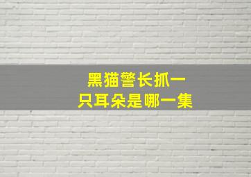 黑猫警长抓一只耳朵是哪一集