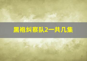 黑袍纠察队2一共几集