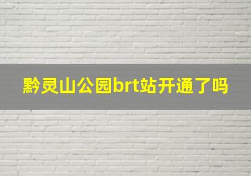 黔灵山公园brt站开通了吗