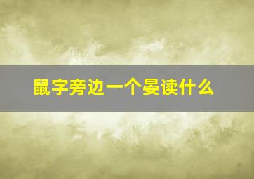 鼠字旁边一个晏读什么