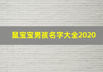 鼠宝宝男孩名字大全2020