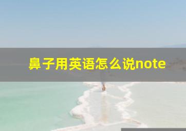 鼻子用英语怎么说note